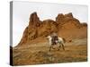 Cowgirl at Full Gallop with Red Rock Hills-Terry Eggers-Stretched Canvas