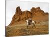 Cowgirl at Full Gallop with Red Rock Hills-Terry Eggers-Stretched Canvas