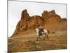 Cowgirl at Full Gallop with Red Rock Hills-Terry Eggers-Mounted Photographic Print