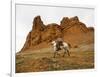 Cowgirl at Full Gallop with Red Rock Hills-Terry Eggers-Framed Photographic Print