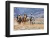 Cowgirl & Cowboy at Full Gallop-Terry Eggers-Framed Premium Photographic Print