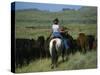 Cowgirl Driving Cattle by Highway 89, Park County, Montana, United States of America, North America-Robert Francis-Stretched Canvas