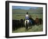 Cowgirl Driving Cattle by Highway 89, Park County, Montana, United States of America, North America-Robert Francis-Framed Photographic Print