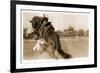 Cowgirl Falling from Bronco-null-Framed Premium Giclee Print