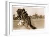 Cowgirl Falling from Bronco-null-Framed Art Print