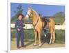 Cowgirl in Blue with Palomino-null-Framed Art Print