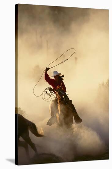 Cowgirl Lassoing on the Range-DLILLC-Stretched Canvas