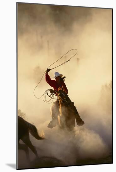 Cowgirl Lassoing on the Range-DLILLC-Mounted Photographic Print