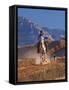 Cowgirl Riding a Trail in the Big Horn Mountains, Shell, Wyoming, USA-Joe Restuccia III-Framed Stretched Canvas