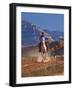 Cowgirl Riding a Trail in the Big Horn Mountains, Shell, Wyoming, USA-Joe Restuccia III-Framed Photographic Print