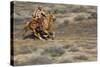 Cowgirl Riding at Full Speed in Motion-Terry Eggers-Stretched Canvas