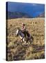 Cowgirl Riding at Full Speed in Motion-Terry Eggers-Stretched Canvas