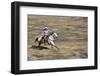 Cowgirl Riding at Full Speed in Motion-Terry Eggers-Framed Premium Photographic Print