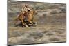 Cowgirl Riding at Full Speed in Motion-Terry Eggers-Mounted Photographic Print