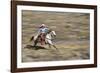 Cowgirl Riding at Full Speed in Motion-Terry Eggers-Framed Photographic Print