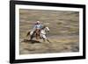 Cowgirl Riding at Full Speed in Motion-Terry Eggers-Framed Photographic Print