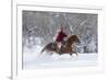 Cowgirl riding her horse in winter, Hideout Ranch, Shell, Wyoming.-Darrell Gulin-Framed Photographic Print