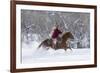 Cowgirl riding her horse in winter, Hideout Ranch, Shell, Wyoming.-Darrell Gulin-Framed Photographic Print