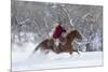 Cowgirl riding her horse in winter, Hideout Ranch, Shell, Wyoming.-Darrell Gulin-Mounted Photographic Print