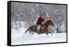 Cowgirl riding her horse in winter, Hideout Ranch, Shell, Wyoming.-Darrell Gulin-Framed Stretched Canvas