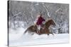 Cowgirl riding her horse in winter, Hideout Ranch, Shell, Wyoming.-Darrell Gulin-Stretched Canvas