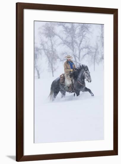 Cowgirl riding her horse wintertime Hideout Ranch, Shell, Wyoming.-Darrell Gulin-Framed Photographic Print