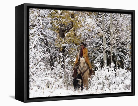 Cowgirl Riding in Autumn Aspens with a Fresh Snowfall-Terry Eggers-Framed Stretched Canvas