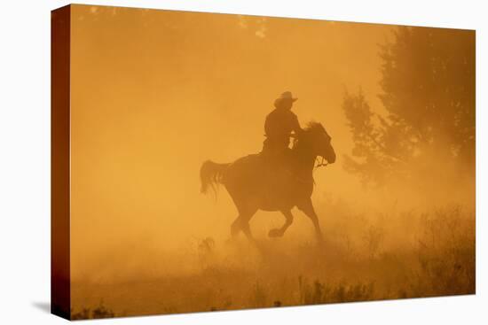 Cowgirl Riding in the Dust-DLILLC-Stretched Canvas
