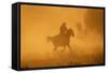 Cowgirl Riding in the Dust-DLILLC-Framed Stretched Canvas