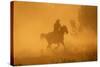 Cowgirl Riding in the Dust-DLILLC-Stretched Canvas