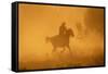 Cowgirl Riding in the Dust-DLILLC-Framed Stretched Canvas