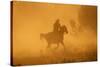 Cowgirl Riding in the Dust-DLILLC-Stretched Canvas