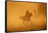Cowgirl Riding in the Dust-DLILLC-Framed Stretched Canvas