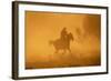 Cowgirl Riding in the Dust-DLILLC-Framed Photographic Print