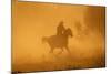 Cowgirl Riding in the Dust-DLILLC-Mounted Photographic Print