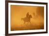 Cowgirl Riding in the Dust-DLILLC-Framed Photographic Print