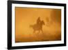 Cowgirl Riding in the Dust-DLILLC-Framed Photographic Print