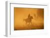 Cowgirl Riding in the Dust-DLILLC-Framed Photographic Print