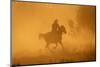 Cowgirl Riding in the Dust-DLILLC-Mounted Photographic Print