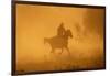 Cowgirl Riding in the Dust-DLILLC-Framed Photographic Print