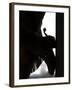 Cowgirl's Boot Silhouette, Flitner Ranch, Shell, Wyoming, USA-Carol Walker-Framed Photographic Print