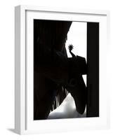 Cowgirl's Boot Silhouette, Flitner Ranch, Shell, Wyoming, USA-Carol Walker-Framed Photographic Print