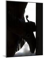 Cowgirl's Boot Silhouette, Flitner Ranch, Shell, Wyoming, USA-Carol Walker-Mounted Photographic Print