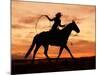 Cowgirl Silhouette-J.C. Leacock-Mounted Photographic Print