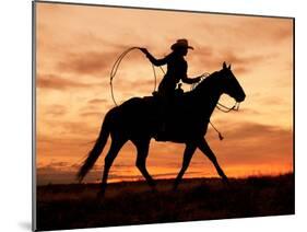 Cowgirl Silhouette-J.C. Leacock-Mounted Photographic Print
