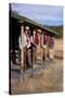 Cowgirls and Cowboys outside a Cabin-Terry Eggers-Stretched Canvas