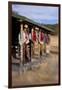 Cowgirls and Cowboys outside a Cabin-Terry Eggers-Framed Premium Photographic Print