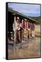 Cowgirls and Cowboys outside a Cabin-Terry Eggers-Framed Stretched Canvas