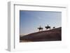 Cowgirls and Dogs along the Ridge of the Painted Hills-Terry Eggers-Framed Premium Photographic Print