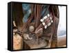 Cowgirls Boot & Saddle-Terry Eggers-Framed Stretched Canvas